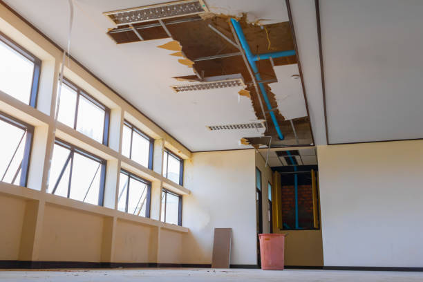 Best Water damage restoration experts  in Spring Valley, IL