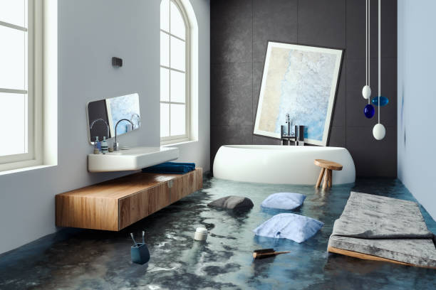 Best Sewage cleanup and water damage restoration  in Spring Valley, IL
