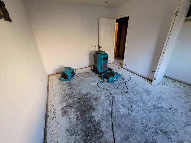 Best Professional water damage repair  in Spring Valley, IL