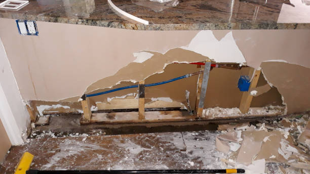 Best Local water damage restoration  in Spring Valley, IL