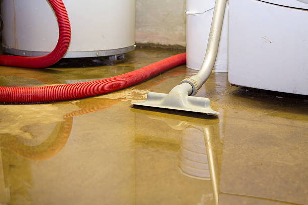 Best Water damage restoration process  in Spring Valley, IL